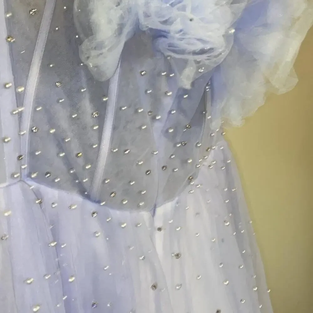 Sky Blue Dress with Sequin Appliques - Picture 6 of 12